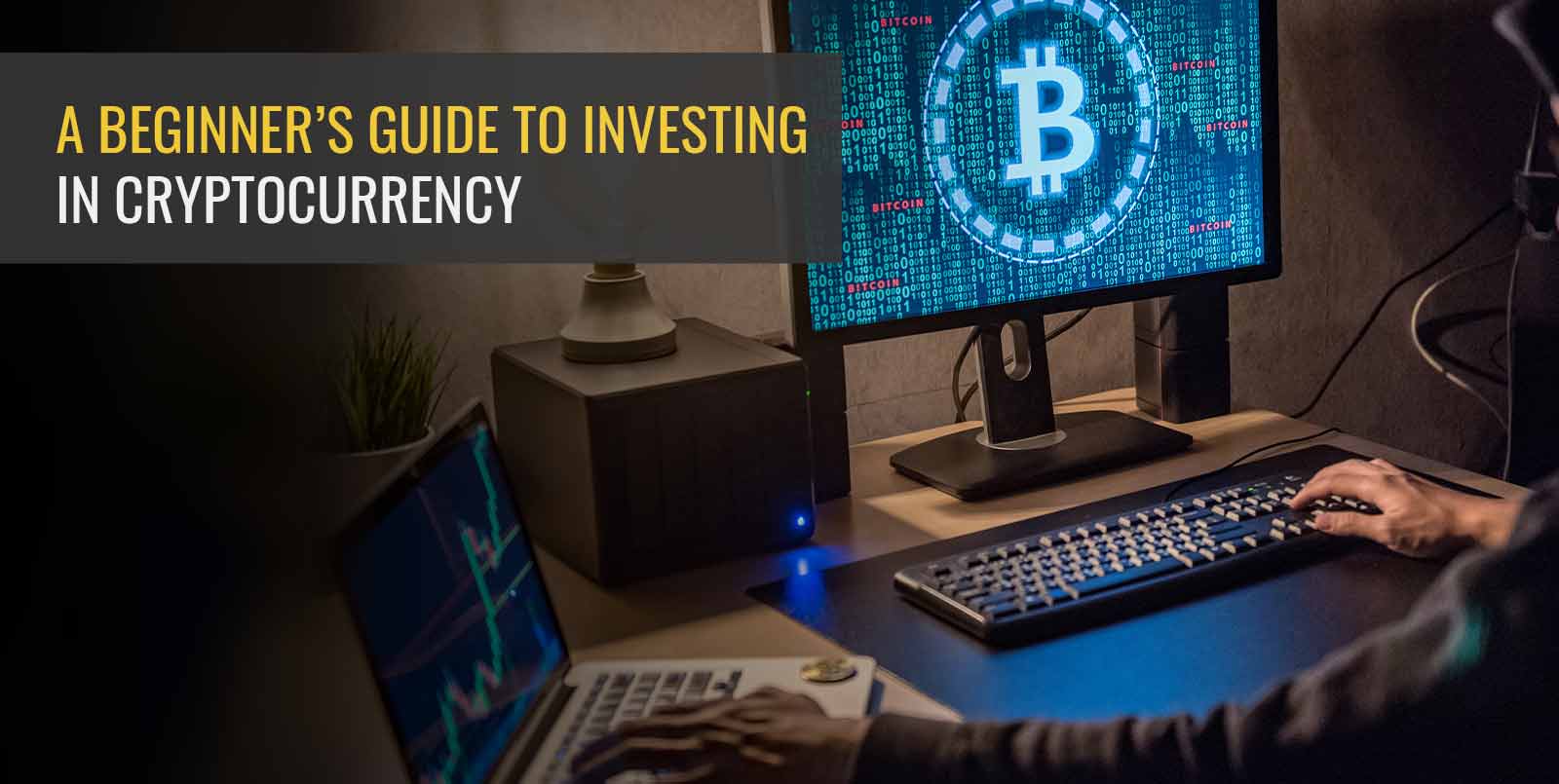 A Beginner’s Guide to Investing in Crypto Indices